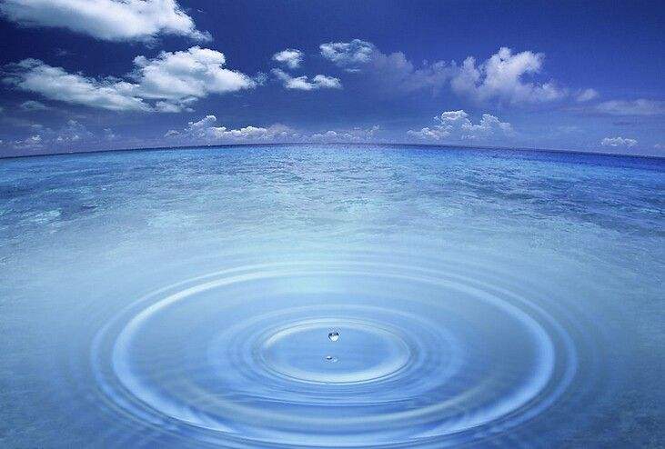 净水器服务规范